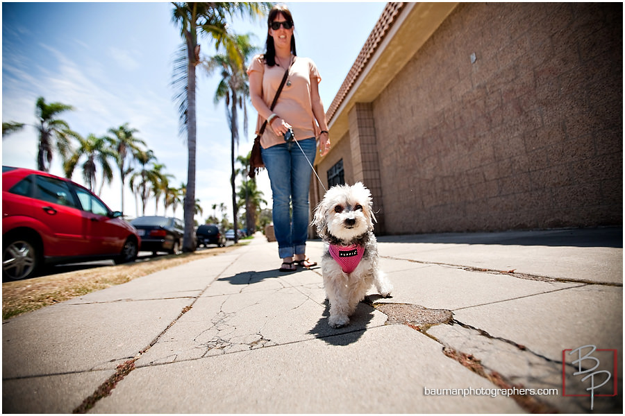  Pet photography San Diego